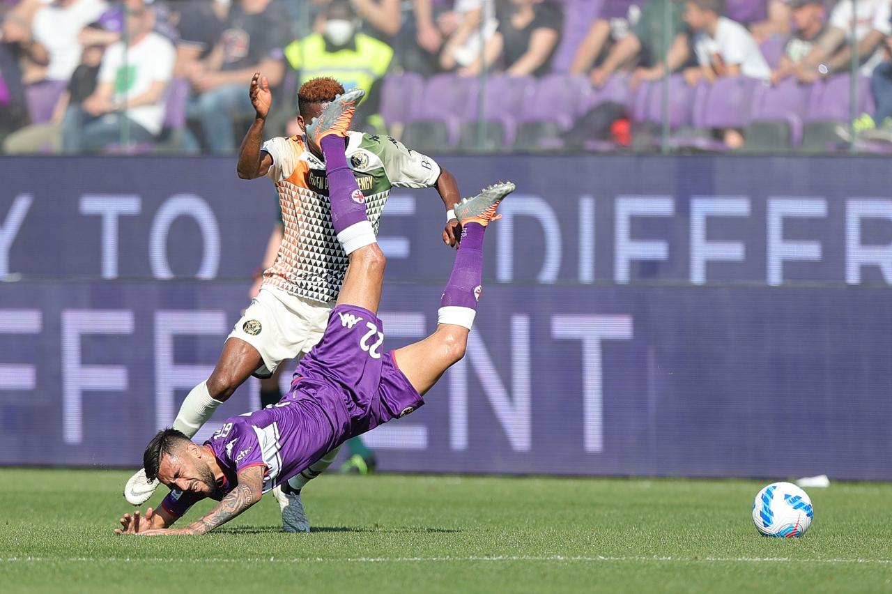 Fiorentina vs Venezia:  Kalah di Eropa, La Viola Siap Hajar Venezia di Kandang!