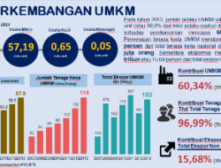 Bisnis UMKM Mengalami Peningkatan Signifikan di Triwulan II 2024: Bukti Nyata dari Indeks BRI