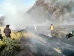 Bukit Kingkong di Bromo Terbakar, Petugas Berjibaku Padamkan Api