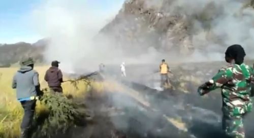 Bukit Kingkong di Bromo Terbakar, Petugas Berjibaku Padamkan Api