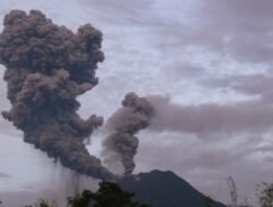 Gunung Ibu Erupsi 8 Kali, Luncurkan Abu Vulkanik hingga 1.200 Meter