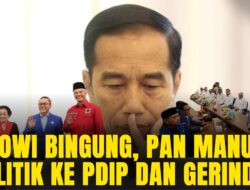 Manuver Politik Jokowi di Akhir Masa Jabatan: "Pinokio Jawa" dan Rasa Panik?