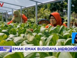 Emak-emak Sidoarjo Berebut Sayuran Gratis dari Mobil Dapur Lapangan