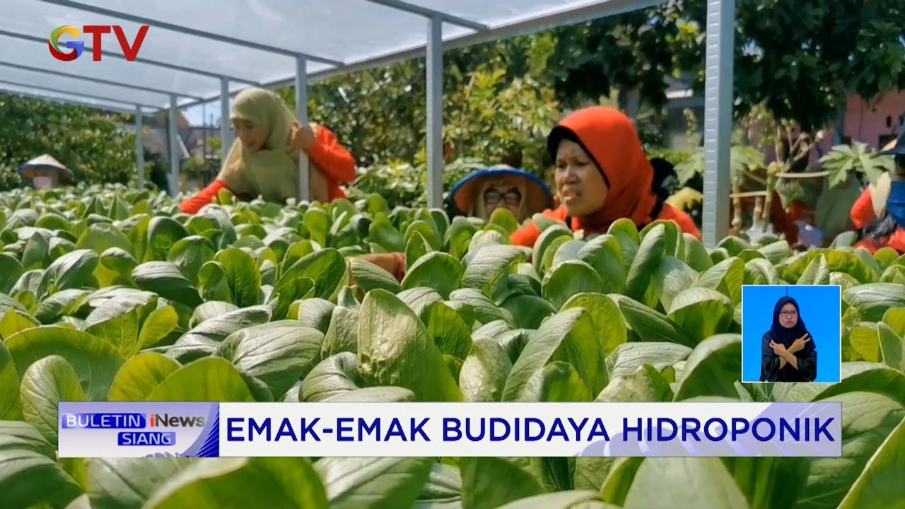 Emak-emak Sidoarjo Berebut Sayuran Gratis dari Mobil Dapur Lapangan