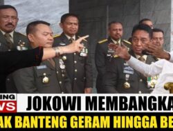 Jokowi Taklukkan Semuanya, Tapi Banteng Tetap Berdiri Tegak: Kritik Tajam Jhon Sitorus di HUT RI