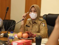 Fatmawati Rusdi, Calon Wakil Gubernur Sulsel, berbagi kisah inspiratif dengan generasi muda di Pinrang.  Fatma, yang dikenal sebagai istri dari Rusdi Masse, Anggota DPR RI, menceritakan perjalanan hidupnya yang penuh perjuangan. Ia menekankan pentingnya kerja keras dan komitmen dalam mencapai kesuksesan.