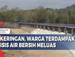 Kekeringan Lamongan Meluas, 17 Titik Terdampak!