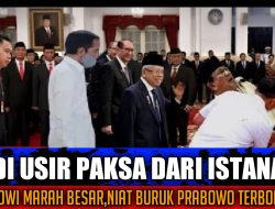 Hubungan Jokowi-Prabowo Memanas? Istana Buka Suara!