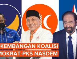 PKS Masuk Koalisi, Hilmi Firdausi: "Dear PKS, Kembalilah Bersama Umat!"