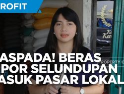 Waspada! Produk Impor Murah Ternyata Jebakan?