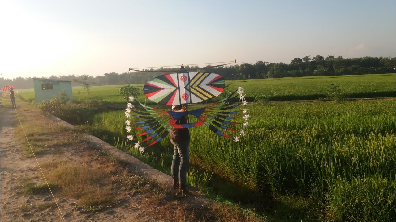 Layangan Merak Ramaikan Polman, Ada Apa?